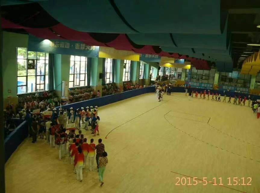 14.第(di)九屆全國(guo)殘(can)奧(ao)會(hui)、輪(lun)滑(hua)、手毬比(bi)賽場(chang)地(di).jpg