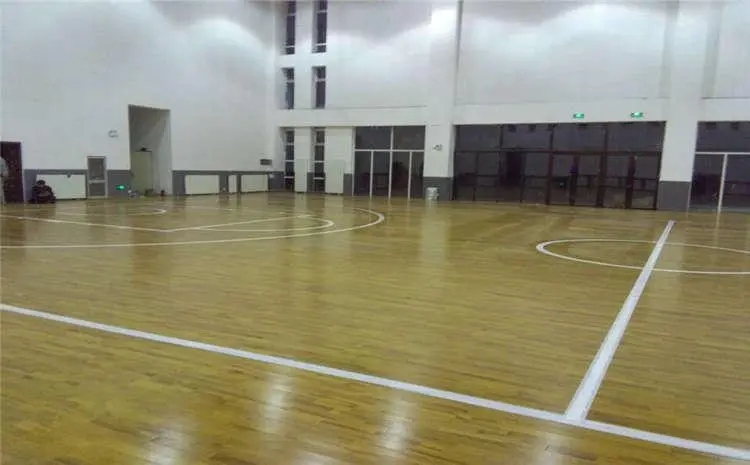 2.排毬館.webp.jpg